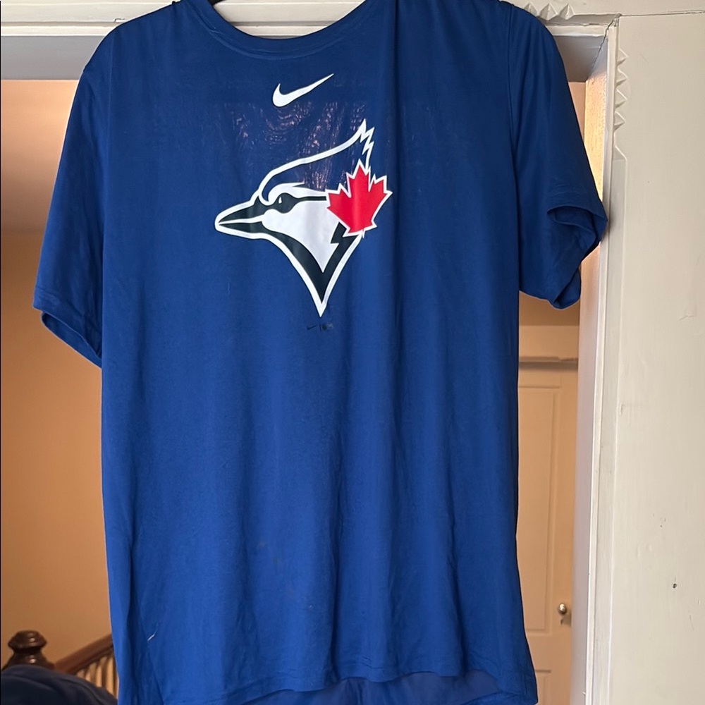 Nike Blue Tee with Bird Graphic